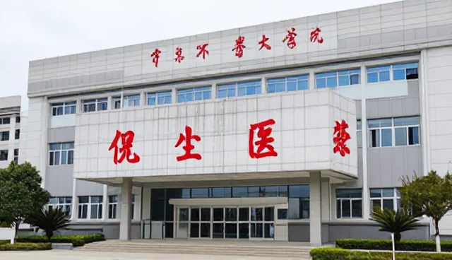 视频提示词反推教学gimini，AI提示词库优化策略