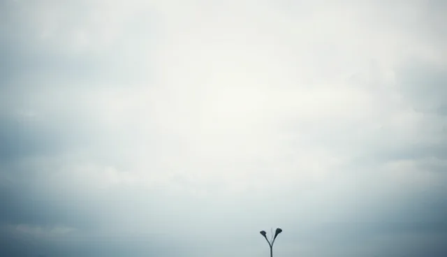 ai图片反推提示词是什么,如何提升摄影质感